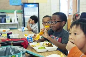 children eating their school dinner together